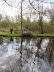 Shadows on Thorpeness Mere