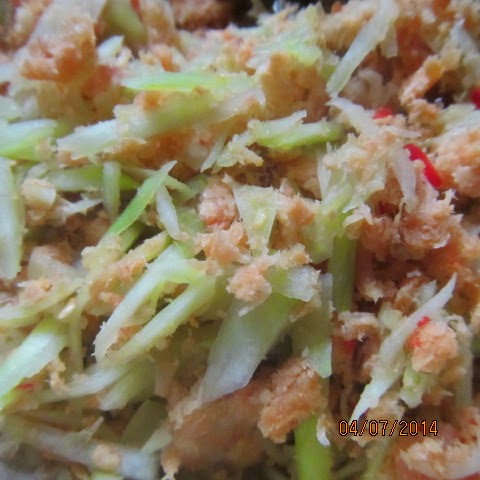 Laman Dapur Maya Ezujusoh: Cara-Cara Membuat Sambal Mangga