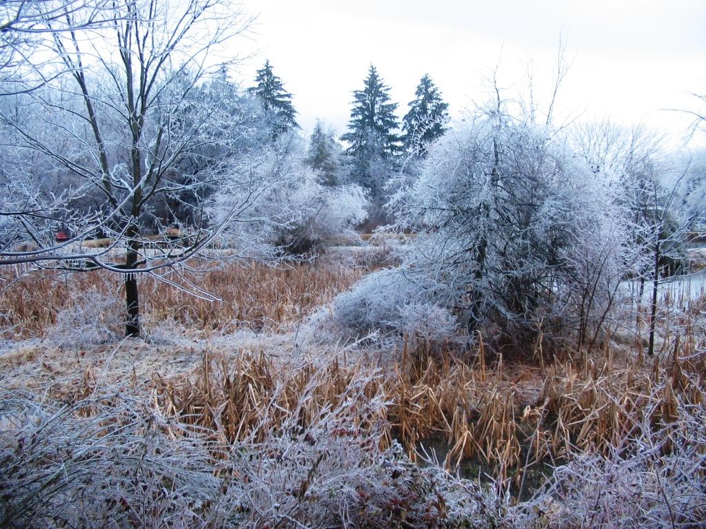 Snow Scene Shippensburg