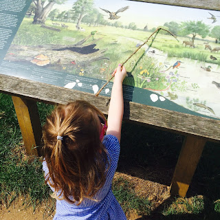 Jane pointing to animals on a sign