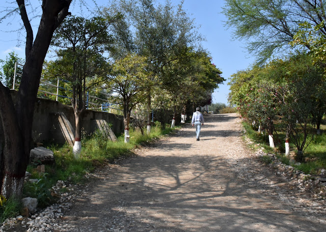 Dharabi Dam