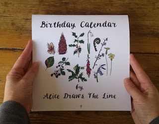 Birthday Calendar or Special Events Calendar by Alice Draws The Line front