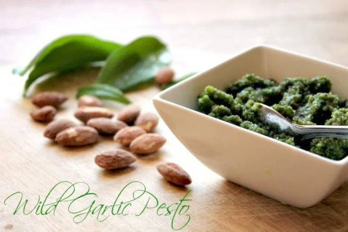 Wild Garlic Pesto