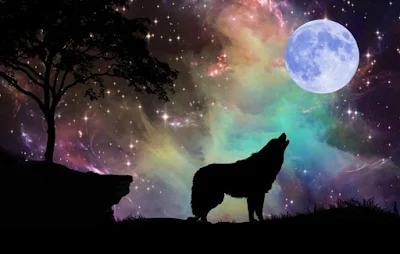 Moon of the Wolf-wolf-moon-crystals Full January wolf moon will be shining in the sky