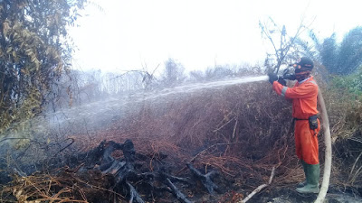 BPBD Agam Berjibaku Padamkan Lahan Gambut yang Terbakar di Durian Kapeh