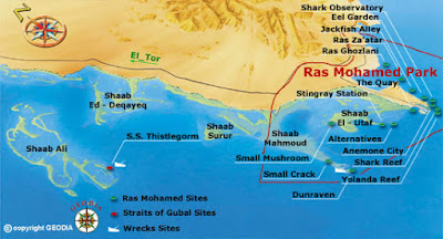 Ras Mohammad , The protectorate of Ras Mohamed , sinai national park, ras mohammed national park ,protectorate, Egypt diving, diving Egypt, Sinai Travel, red sea tours, Egypt trips, Egypt travel help, sinai trip, egypt guide