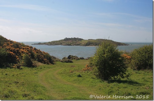 14-Ardwall-Island