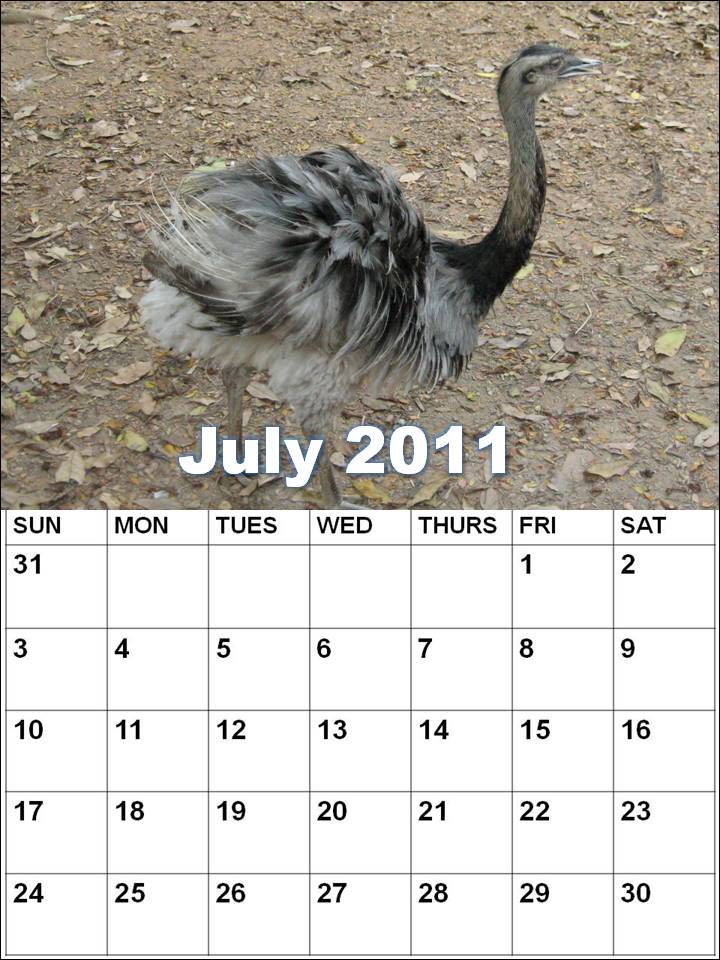 Blank Calendar 2011 July or Blank Planner 2011 July