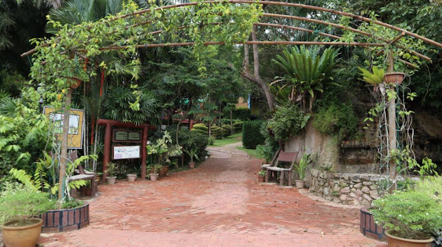 Hutan Lagenda Gunung Ledang