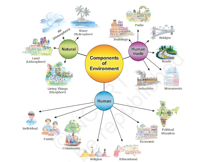 Components of Environment