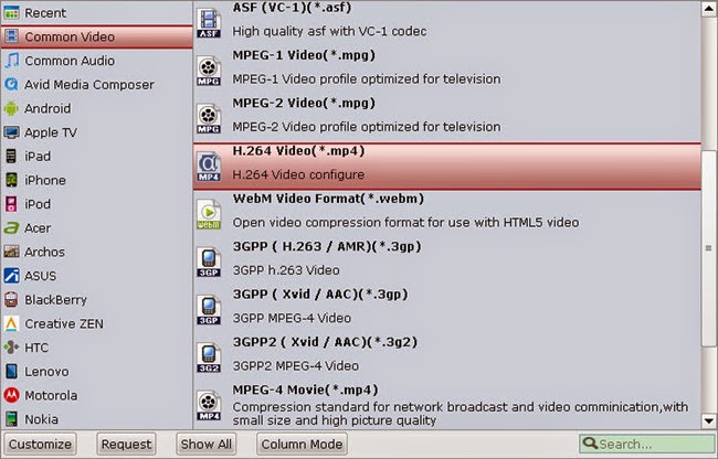 Windows Media Player compatible video format