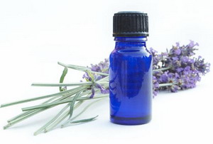 Lavender Oil Benefits and Side Effect You Must Know