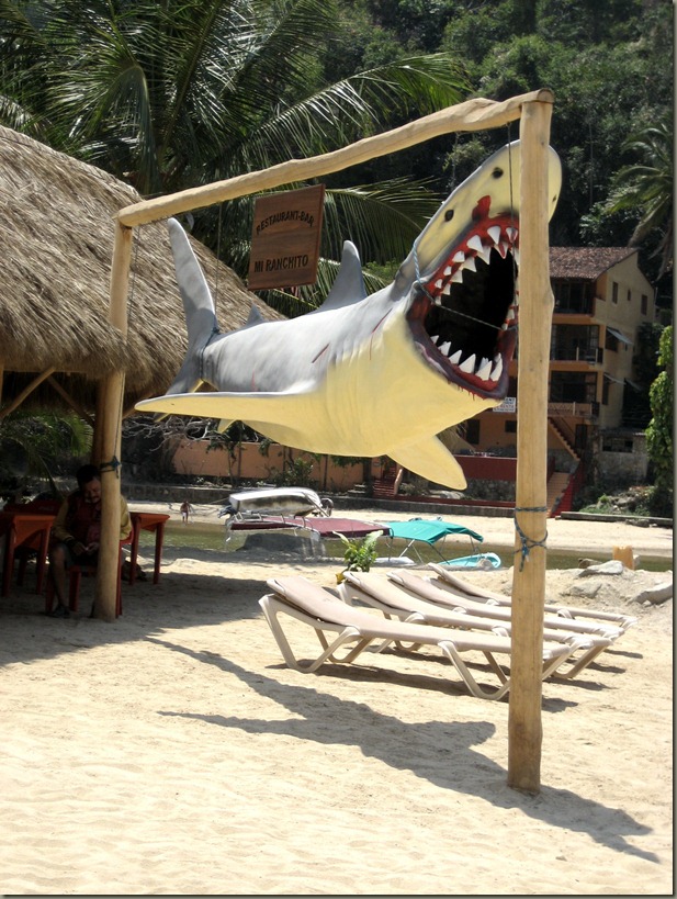 Shark Thing