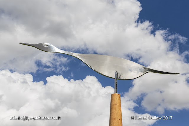 This is a stainless steel avocet with an oak  stand . flight of three