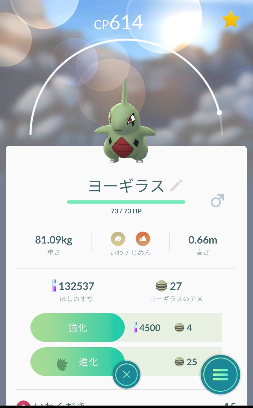 ポケモンgo日記 Pokemon Go Diary In Japan ヨーギラス を進化させて サナギラス にしてみた ポケモンgo日記 Pokemon Go Diary In Japan ヨーギラス を進化させて サナギラス にしてみた