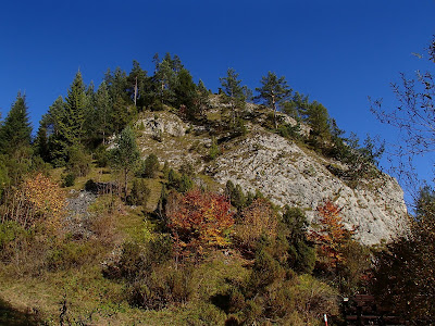 Rezerwat Biała Woda, Pieniny