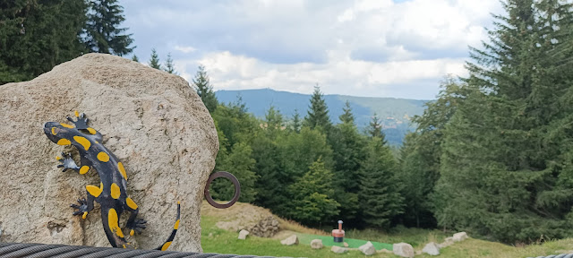 Schronisko na hali Szrenickiej. Widok na Izery