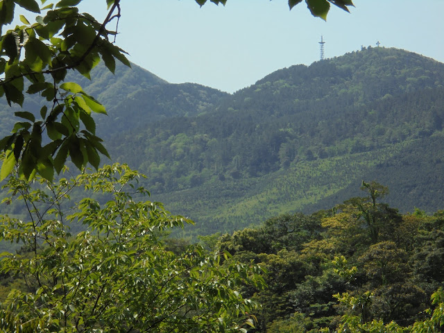 先日登ったの大平山斜めに登山道が見えます