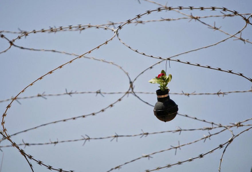 Palestinian Woman Plants Flowers In Israeli Army Tear Gas Grenades