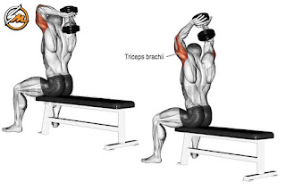 Chest and Triceps Workout For Strength and Mass