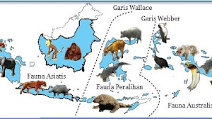 Materi IPS Kelas 6 Ragam Fauna Di Indonesia dan Faktor Penyebabnya