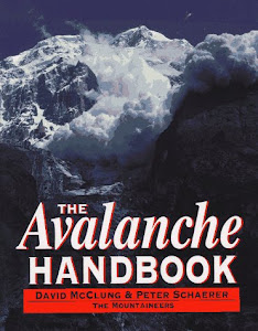 The Avalanche Handbook