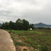 (Sold) Residential Land For Sale, 2Km from the new bridge along the way to Sihanouk Ville, Kampot Town