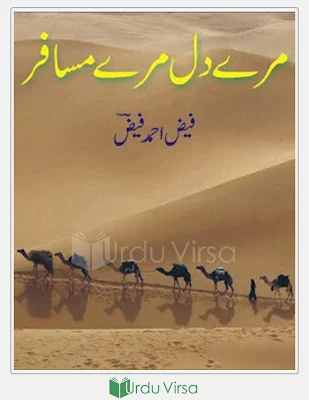 Mery Dil Mery Musafir cover image