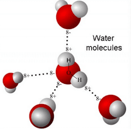 Visualization of water molecules and hydrogen bonds in quantum research.