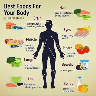 All time Best food for Human body