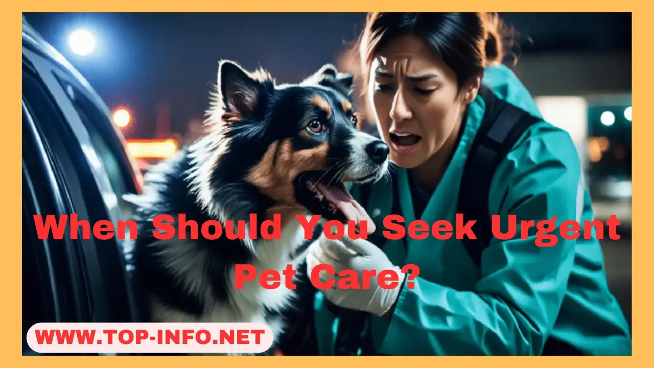 When Should You Seek Urgent Pet Care?