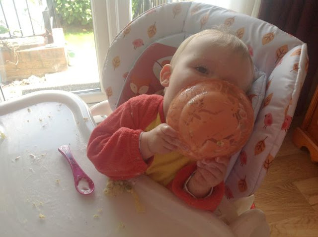 Baby-led-weaning-baby-in-highchair-with-bowl-licking-it-clean