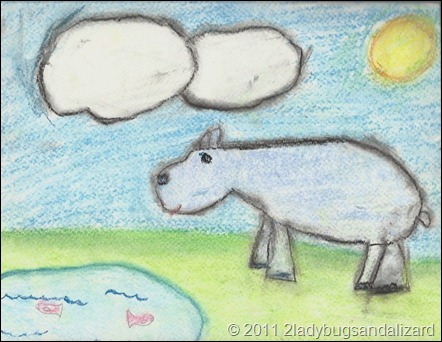 hippo