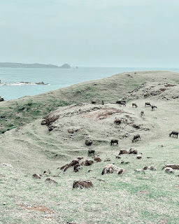 Menikmati Keindahan Bukit Merese Lombok Nusa Tenggara Timur