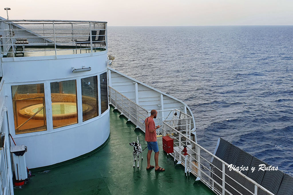 Paseando a tu mascota en el ferry de Grimaldi