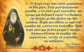 ΟΡΘΟΔΟΞΗ ΠΟΡΕΙΑ ΚΑΙ ΖΩΗ: ΑΓΙΟΣ ΠΟΡΦΥΡΙΟΣ: Η ΨΥΧΗ ΕΙΝΑΙ ΕΝΑΣ ΚΗΠΟΣ ...