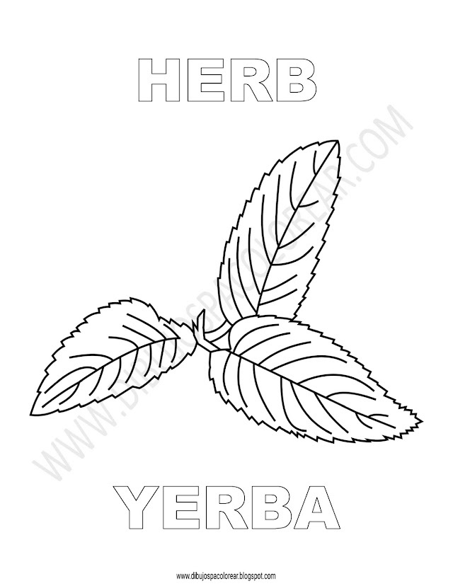 Dibujos Inglés - Español con Y: Yerba - Herb