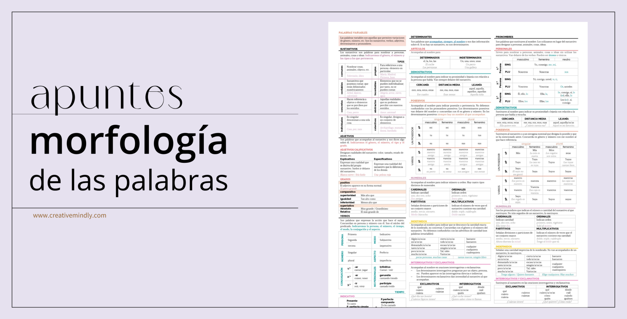 Apuntes analisis morofologico