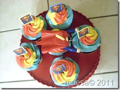 DSCI0838