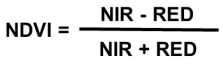 NDVI