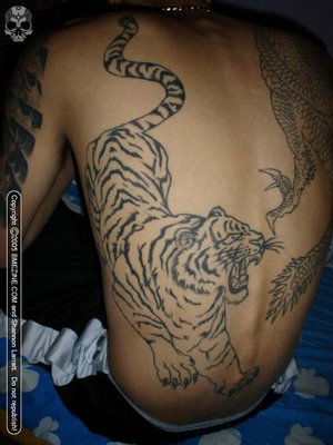 tiger tattoos