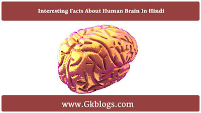 interesting facts about human brain, amazing facts about brain in hindi, interesting facts about the brain and nervous system, interesting facts about brain development