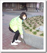 s-2012.1.26MS