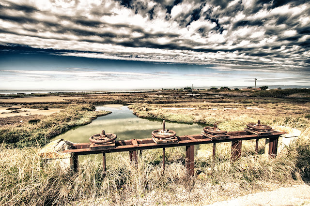 Saline di Margherita di Savoia