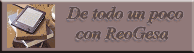 ReoGesa Blog