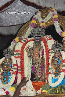 Mylai, Mangalasasanam,Peyazhwar,Parthasarathy Perumal Temple,Purappadu,2016, Video, Divya Prabhandam,Sri Parthasarathy Perumal, Triplicane,Thiruvallikeni,Utsavam,