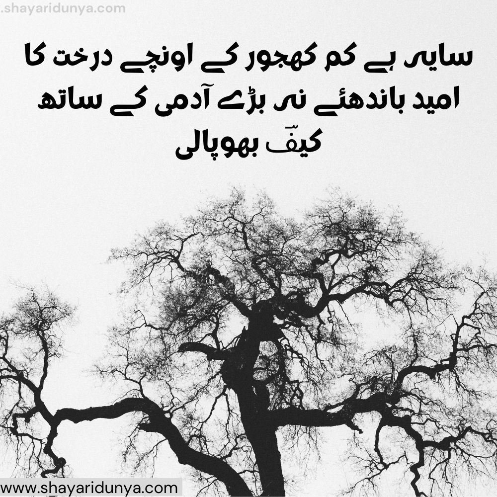 Top darakht Shayari |darakht Poetry | shayari on trees in urdu | shayari on trees in urdu | Tree Shayari Urdu