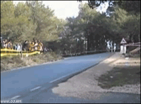 treeprotection