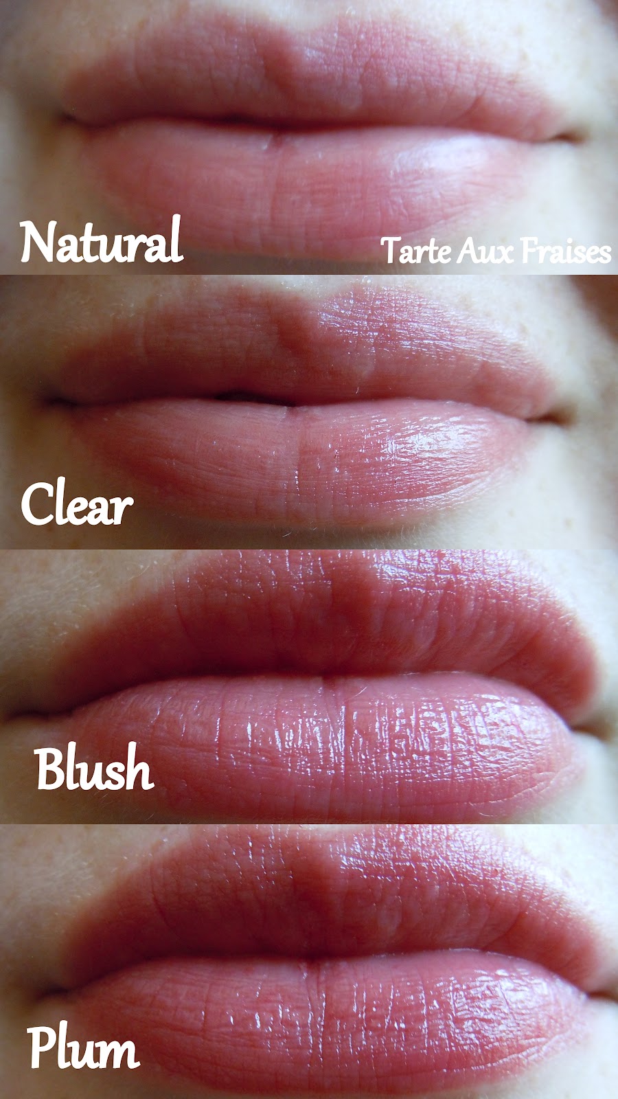 Tarte Aux Fraises: Review: Elizabeth Arden Eight Hour Cream Lip