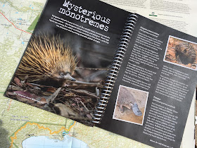 The guidebook for the Kangaroo Island Wilderness Trail is very informative about wildlife along the trail. The 1:35 000 topographic map is well detailed.